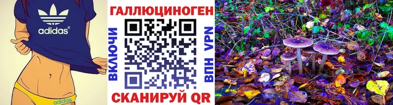 Псилоцибиновые грибы прущие грибы  дарнет шоп  Мезень 